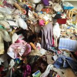 syndrome-diogene-cleaners-corp-nettoyage