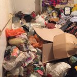 syndrome-diogene-cleaners-corp